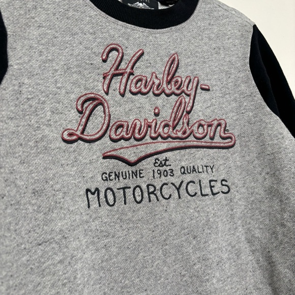 Harley-Davidson Women's Script Font Colorblock Pullover Sweatshirt Size Medium - Picture 3 of 11